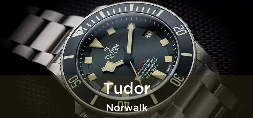 Tudor Norwalk