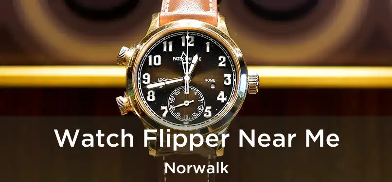 Watch Flipper Near Me Norwalk